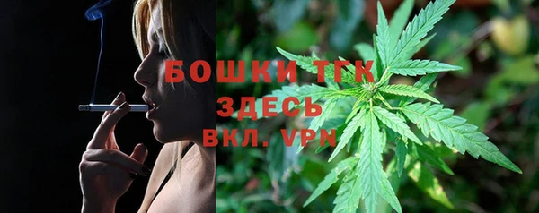 молекула духа Абинск