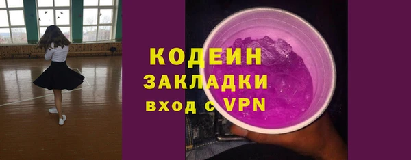 крисы Абаза