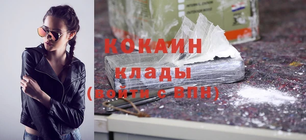 крисы Абаза