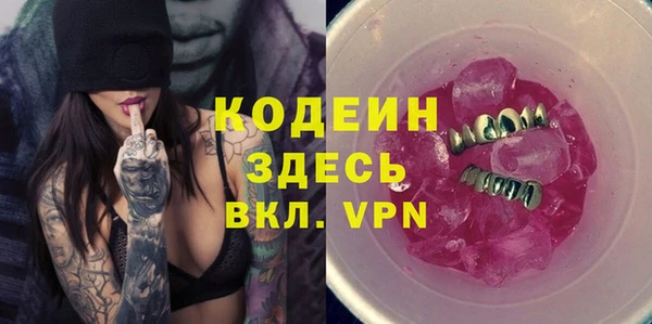 крисы Абаза