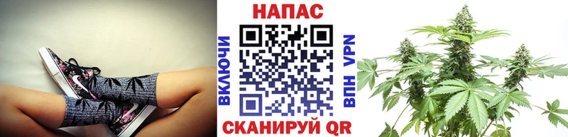 Канабис OG Kush  блэк спрут ссылки  Микунь 